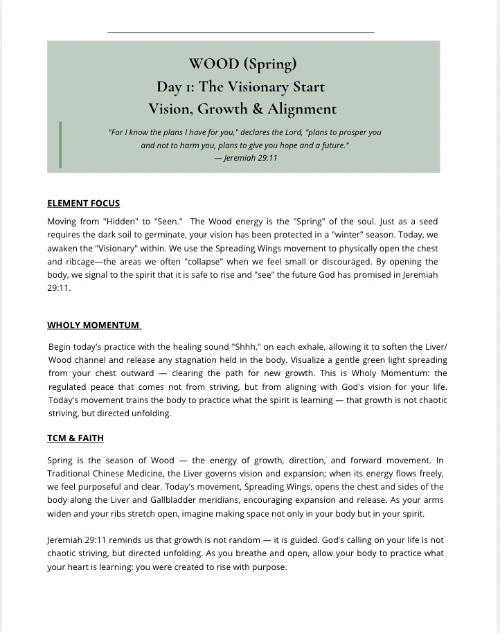 Sacred Softness: A 7-Day Journey of Nervous System Healing & Spiritual Alignment - Image 3